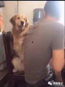 网红狗哥爆料吃瓜事件,揭秘娱乐圈吃瓜大事件！