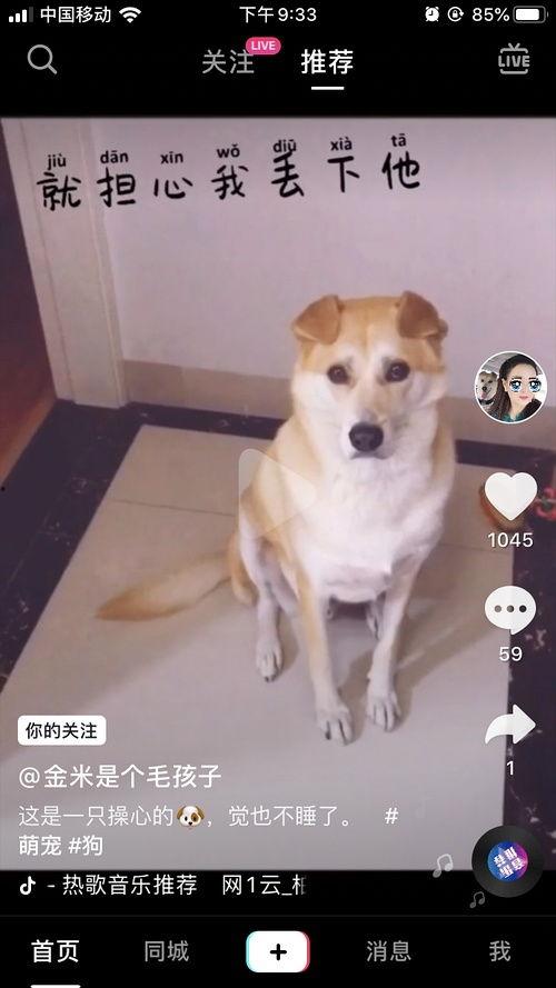 抖音网红狗子与我吃瓜  第3张