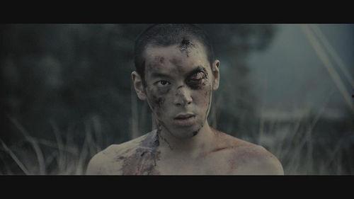 复仇者死在线观看神马,死线在线观看，揭秘英雄末路！